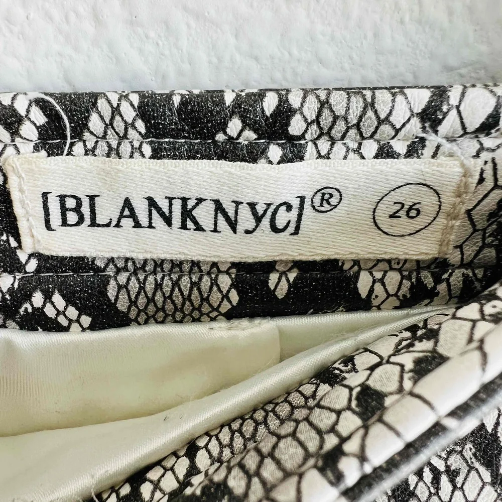Blank NYC Break Away Mini Skirt‎ Snake Print Faux Leather Zip Front Lined Sz 26